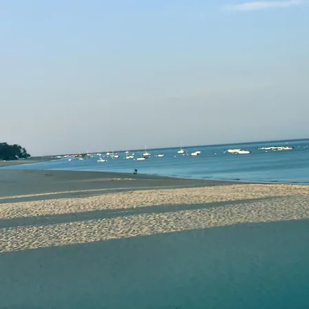 Au Bord De L'eau Rend La Vie A *