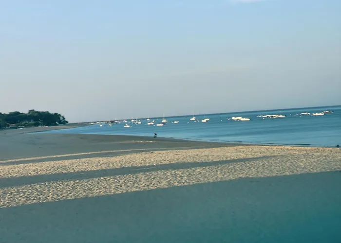 Au Bord De L'eau Rend La Vie A *