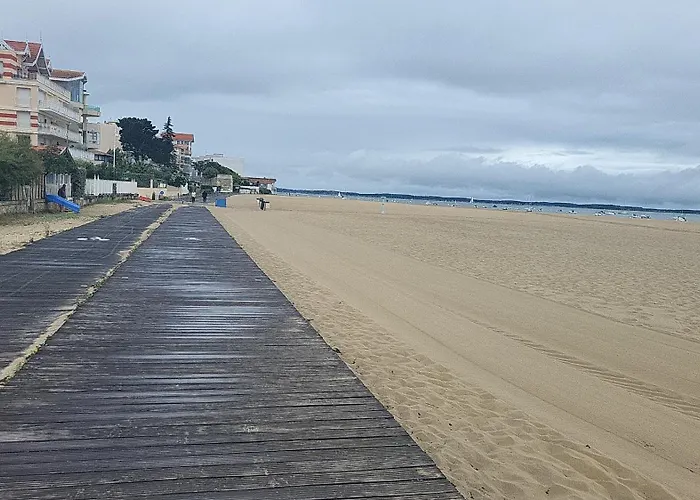 Au Bord De L'eau Rend La Vie A *